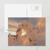 ホワイトフィッシュ山脈の雪の幽霊 ポストカード (正面/裏面)