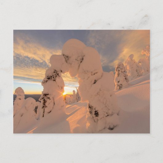 ホワイトフィッシュ山脈の雪の幽霊 ポストカード (正面)