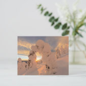 ホワイトフィッシュ山脈の雪の幽霊 ポストカード (スタンド正面)