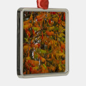 ホワイトフィッシュ秋のサマックの木。 メタルオーナメント (右)