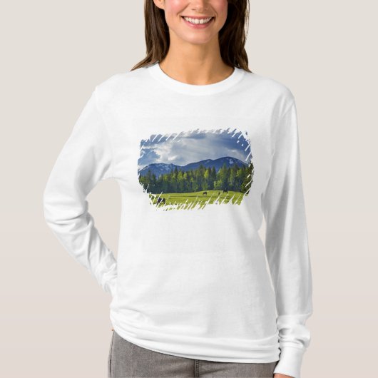 ホワイトフィッシュ近くの牧草地で馬が草を食む Tシャツ (正面)