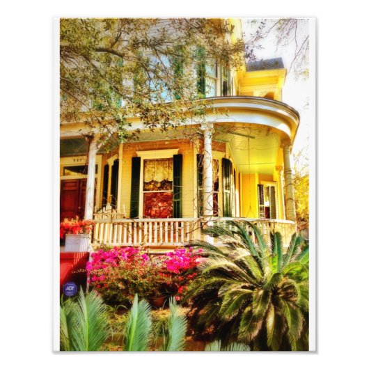 ホワイトフィールド上 フォトプリント            (正面)