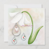 ホワイトフェアリーのドロップレットフラットカード (正面)