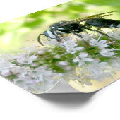 ホワイトフェイスホーネットポートレートサイズプリント ポスター (角)