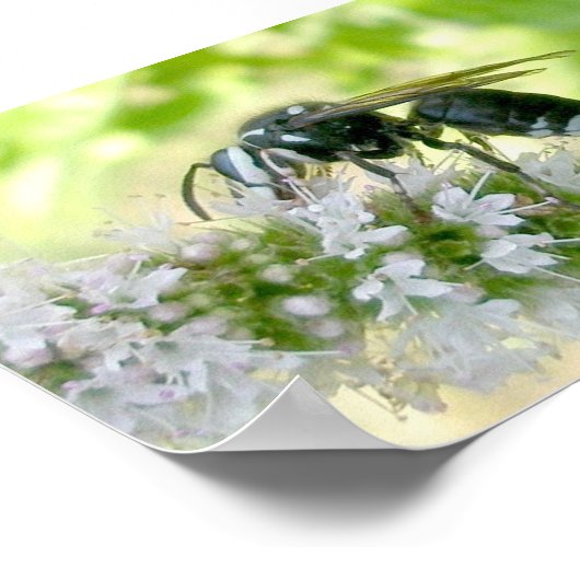 ホワイトフェイスホーネットポートレートサイズプリント ポスター (角)