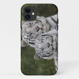 ホワイトフェイズ ベンガルトラ iPhone 11 ケース