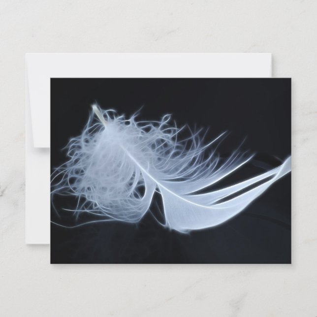 ホワイトフェザー – 天使による自然 (正面)