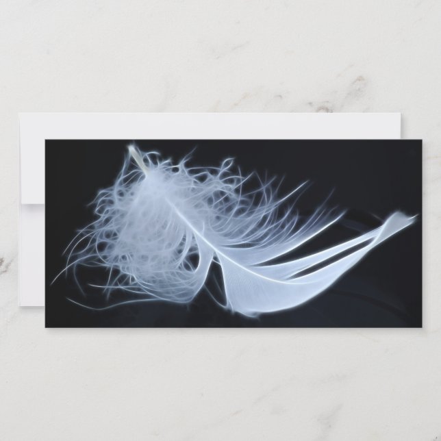 ホワイトフェザー – 天使による自然 (正面)