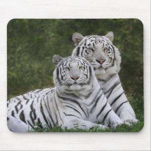 ホワイトフェーズ ベンガルトラ Tigris マウスパッド