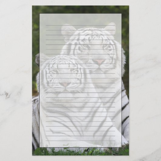 ホワイトフェーズ ベンガルトラ, Tigris 便箋 (正面)