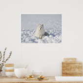 ホワイトフォックス ポスター (キッチン)