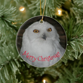 ホワイトフクロウ写真クリスマス セラミックオーナメント