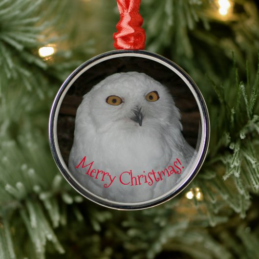 ホワイトフクロウ写真クリスマス セラミックオーナメント (ツリー)