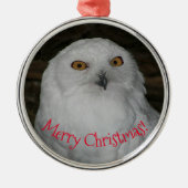 ホワイトフクロウ写真クリスマス セラミックオーナメント (正面)