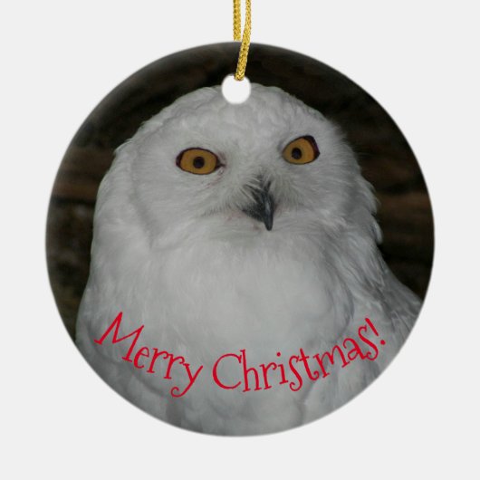 ホワイトフクロウ写真クリスマス セラミックオーナメント (正面)
