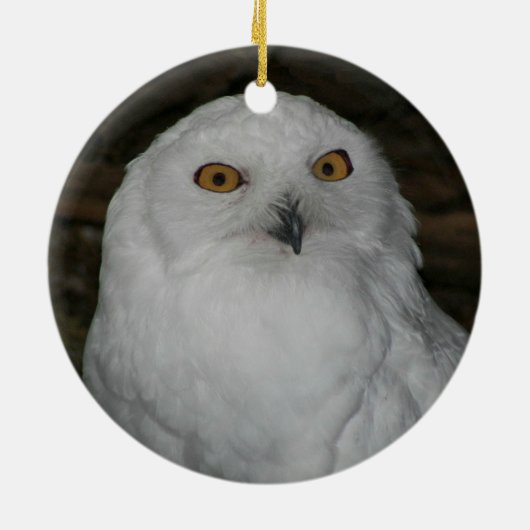 ホワイトフクロウ写真クリスマス セラミックオーナメント (裏面)