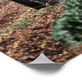 ホワイトフライ制御 ポスター (角)