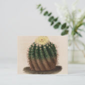 ホワイトフラワーサボテンヴィンテージプリント ポストカード (スタンド正面)