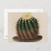 ホワイトフラワーサボテンヴィンテージプリント ポストカード (正面/裏面)