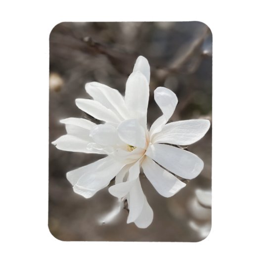 ホワイトフラワーフォトマグネット マグネット (縦)