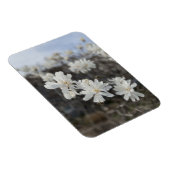 ホワイトフラワーフォトマグネット マグネット (右側)