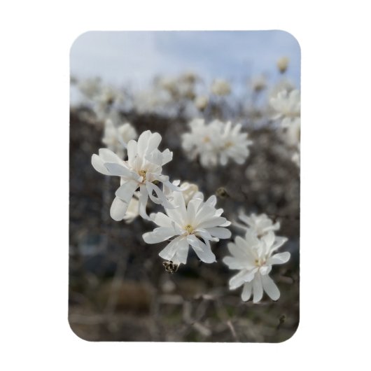ホワイトフラワーフォトマグネット マグネット (縦)