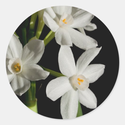 ホワイトフラワー春イベント結婚及びそのシール ラウンドシール (正面)