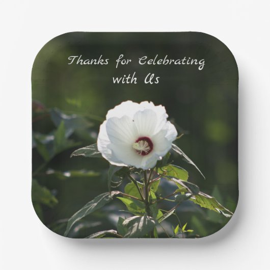 ホワイトフラワー紙プレート ペーパープレート (正面)