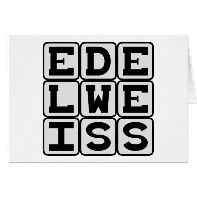 ホワイトフラワー・エーデルワイス (正面横)