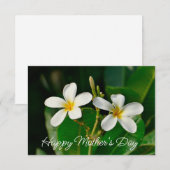 ホワイトフランギパニカード (正面/裏面)