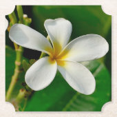 ホワイトフランギパニ ペーパーコースター (正面)