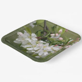 ホワイトフルーツブロッサムスクエア ペーパープレート (傾斜あり)