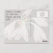 ホワイトフローラありがとう ポストカード (裏面)