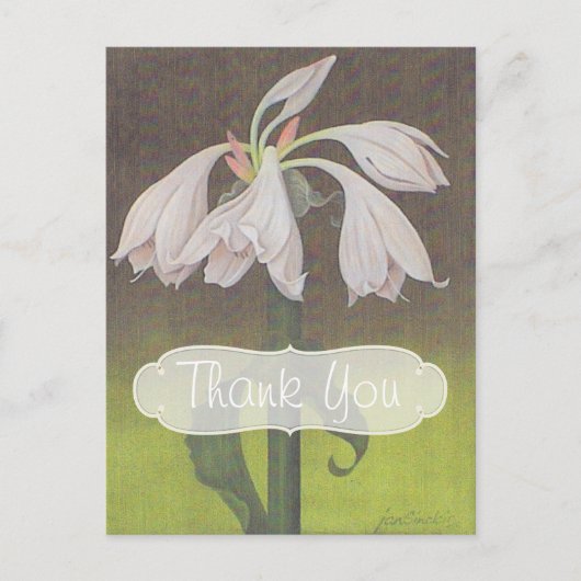 ホワイトフローラありがとう ポストカード (正面)
