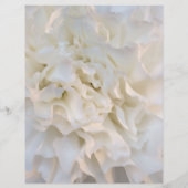 ホワイトフローラキンセアニラメニュー (裏面)