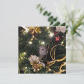 ホワイトフワフワの猫がクリスマスリース シーズンカード (スタンド正面)