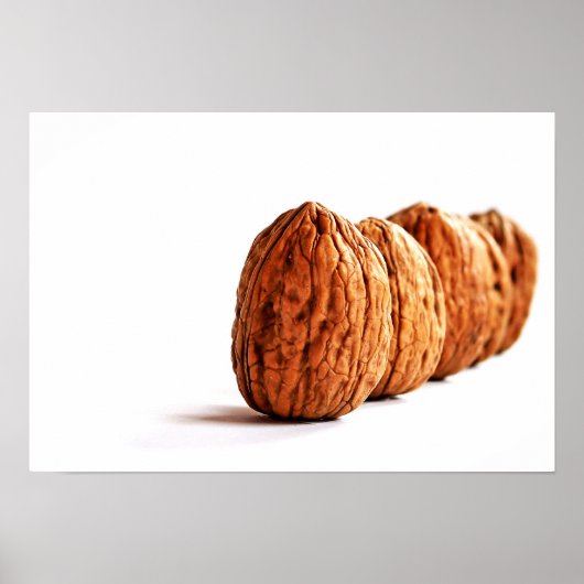 ホワイトフードのクルミ ポスター (正面)