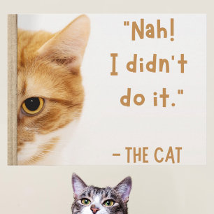 ホワイトブラウンキャットおもしろいミームの関連モーメント ポストカード