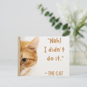 ホワイトブラウンキャットおもしろいミームの関連モーメント ポストカード (スタンド正面)