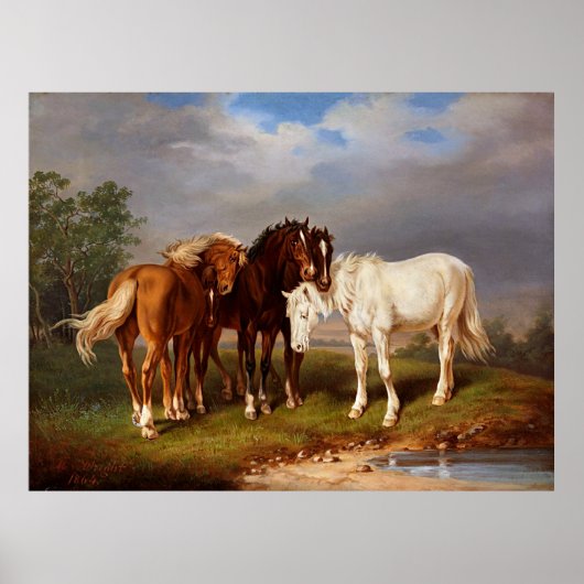 ホワイトブラウンキャラメルホース ポスター (正面)