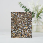 ホワイトブラウンコキナシーシェルビーチスクラップブックペーパー (スタンド正面)