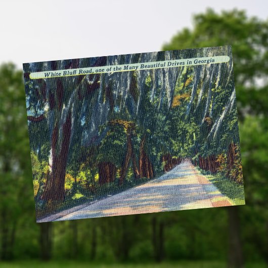 ホワイトブラッフrd美しい博士サバンナGA歴史的 ポストカード