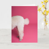 ホワイトプおもしろいードル誕生日カード カード (黄色い花)