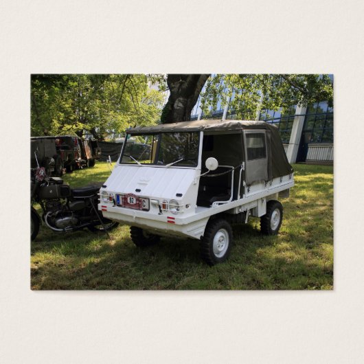 ホワイトプチハフリンガー (正面)