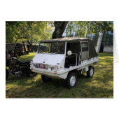 ホワイトプチハフリンガー (正面横)