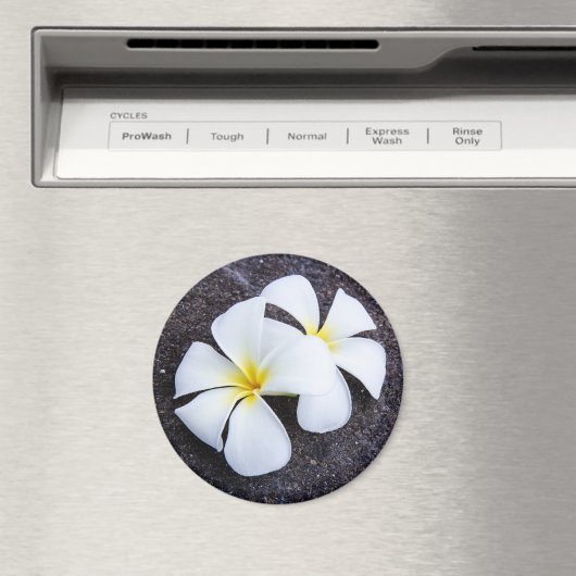 ホワイトプルメリアフラワーフランジパニフローララバロック マグネット (インサイチュ (食洗機))