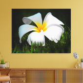ホワイトプルメリアフランギパニハワイフラワー キャンバスプリント (インサイチュ (リビング))