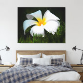 ホワイトプルメリアフランギパニハワイフラワー キャンバスプリント (インサイチュ (寝室))