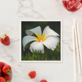 ホワイトプルメリアフランギパニハワイフラワー スタンダードカクテルナプキン (インサイチュ)