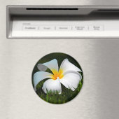 ホワイトプルメリアフランギパニハワイフラワー マグネット (インサイチュ (食洗機))